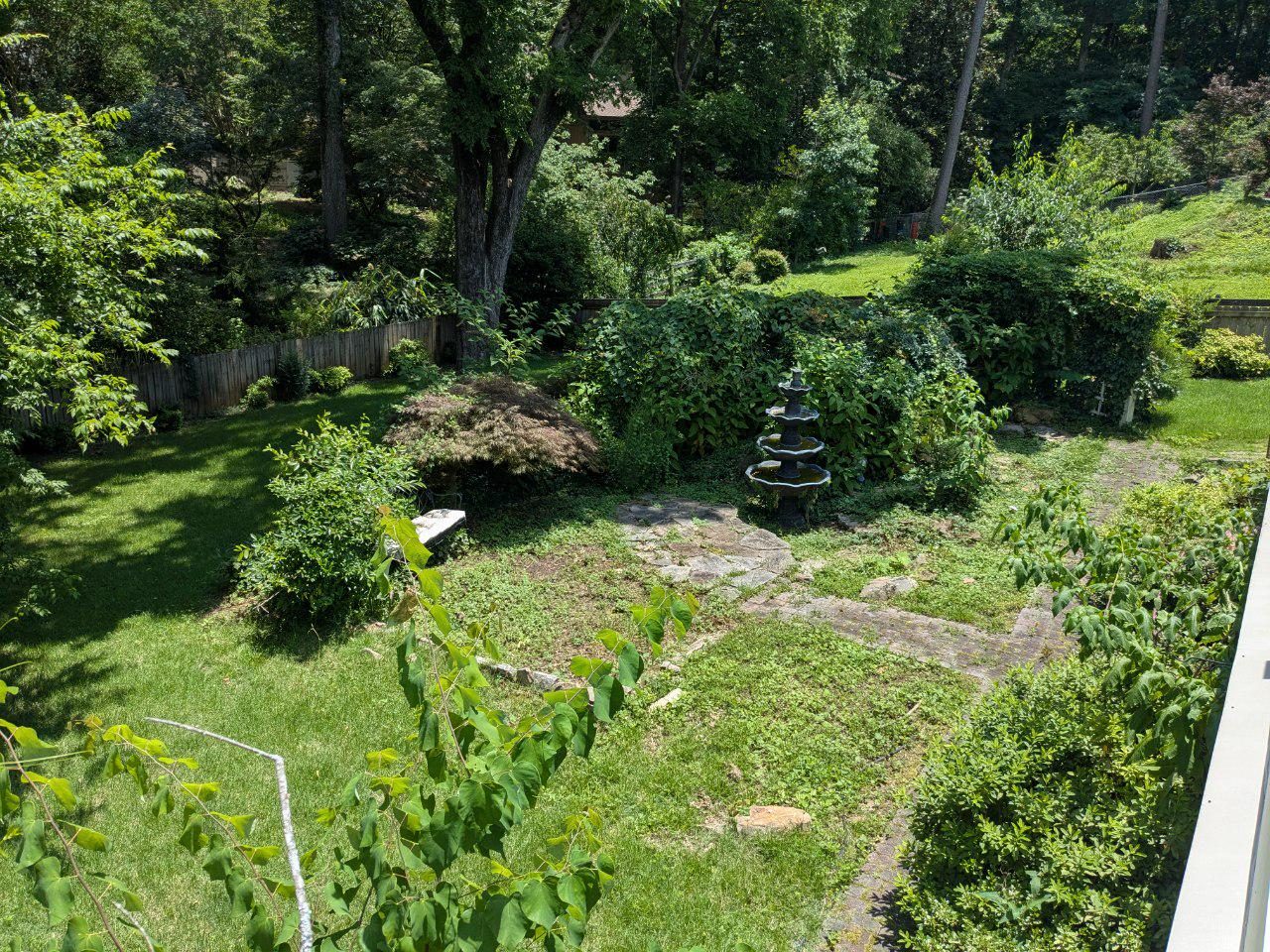 Overgrown backyard with a tiered fountain surrounded by tall grass and brush
